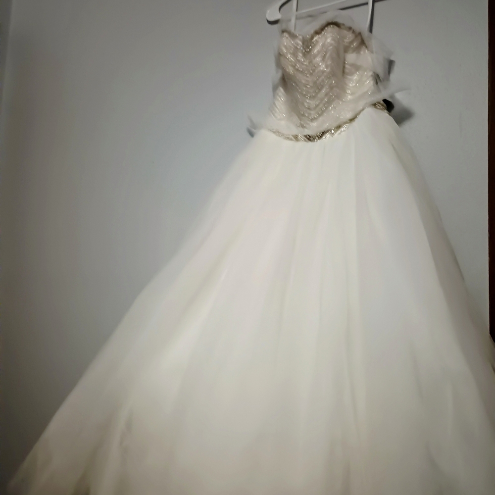 Elegant Ivory Gown